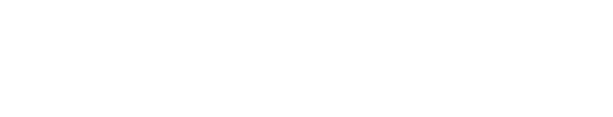 Storenatic logo